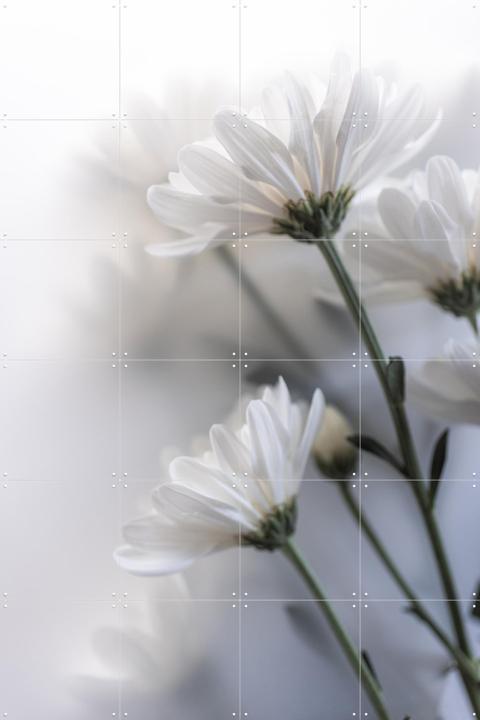 Blurred Flowers 7