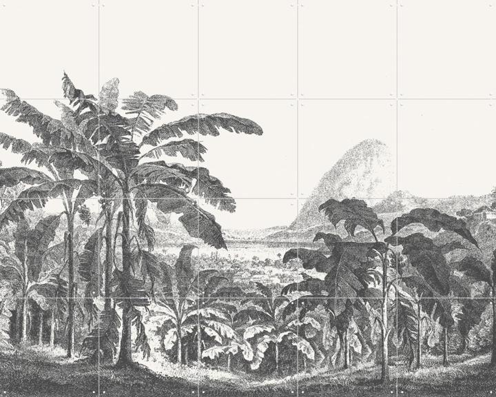 Palms and Mountain