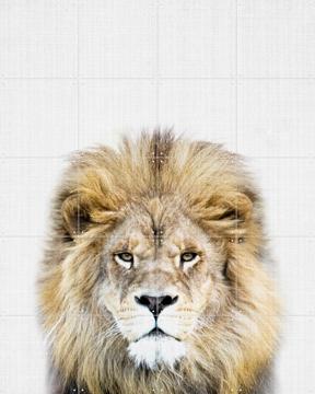 'Print 326 Lion' van Lila + Lola