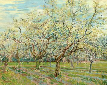 'De witte boomgaard (1888)' van Vincent van Gogh (1853 - 1890) & Van Gogh Museum