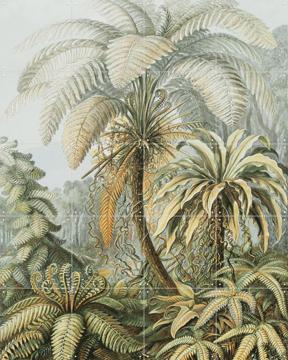 'Ferns color' van Ernst Haeckel & Victoria and Albert Museum