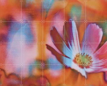 'Sweetly' by Amber Lauder