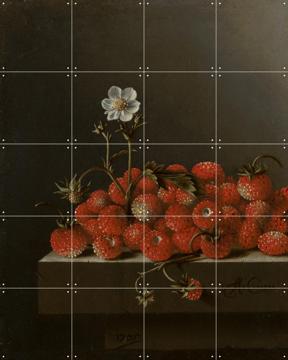 'Stilleven met bosaardbeien' by Adriaen Coorte & Mauritshuis