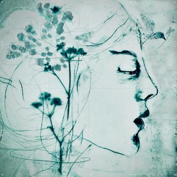 'Blue Bird' van RAR Kramer