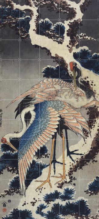 Two Cranes on a snowy Pine Branch