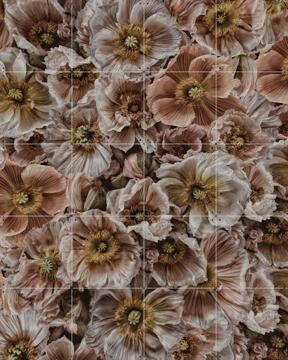 'Wild Poppies' von STUDIO HANNAH LEMHOLT