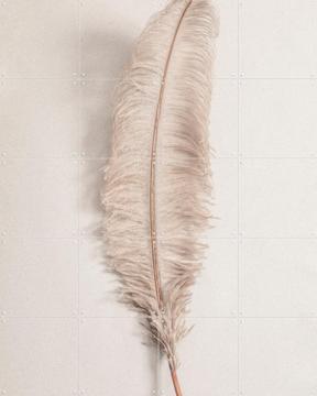 'Feather' van 1x Studio II