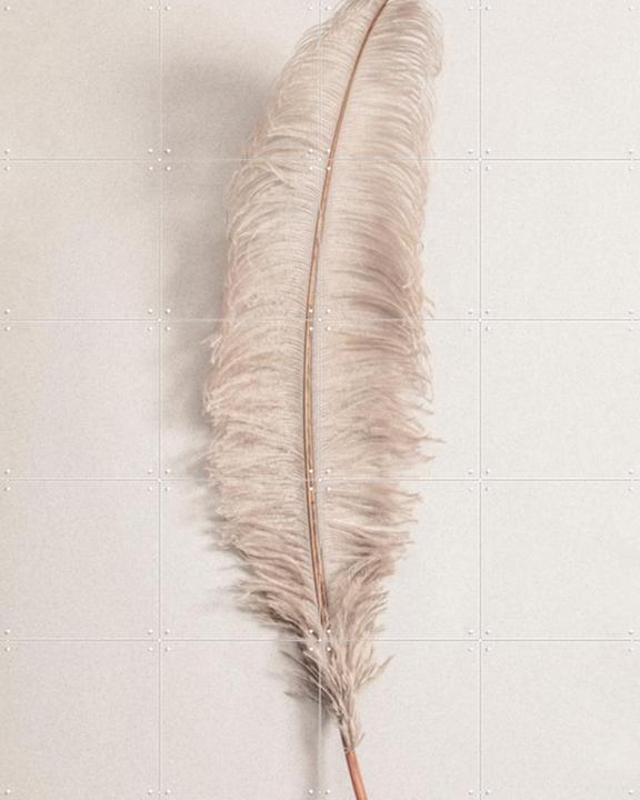 Feather