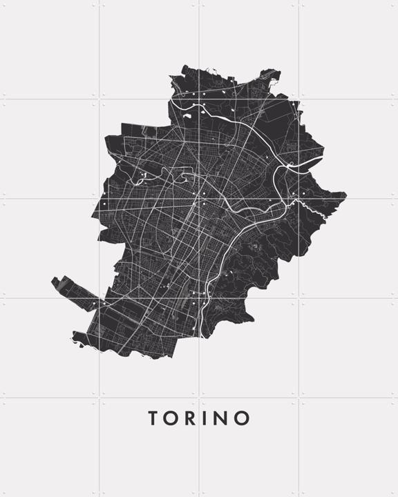 Torino City Map
