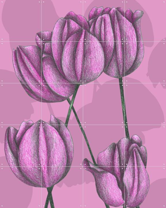 Purple Tulips