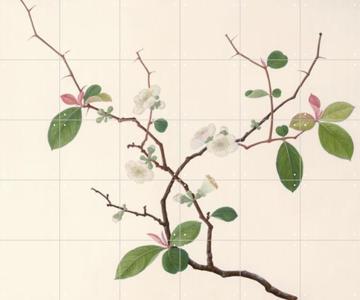 IXXI - Blossom door John Reeves & Natural History Museum