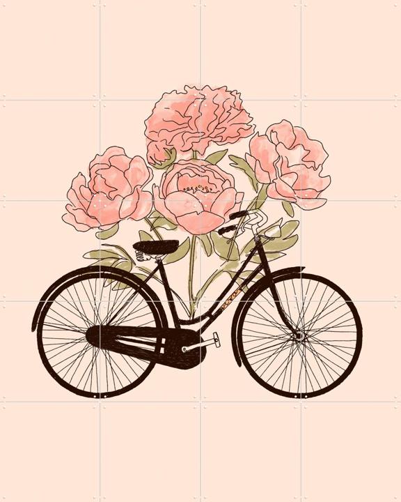 Bicycle Cities Paris