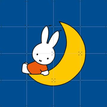 'Miffy Moon' by Miffy