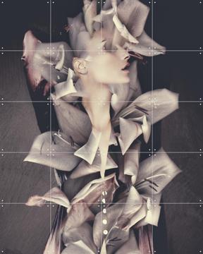 'Amazon' by STUDIO HANNAH LEMHOLT