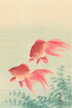 IXXI - Two Goldfish by Ohara Koson & Rijksmuseum