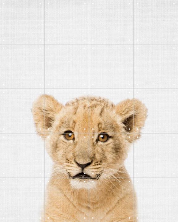 Baby lion - Brown eyes