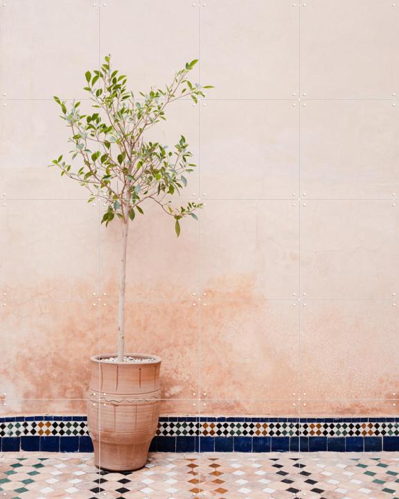 Terracotta Plant In Morocco