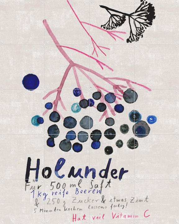 Holunder