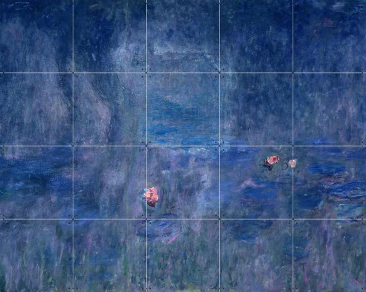 Water Lilies: Reflections of Trees