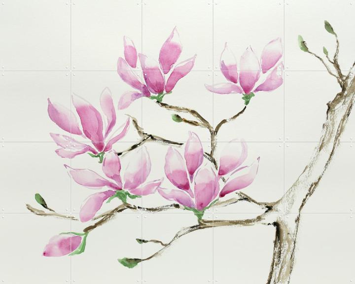 Magnolia in Bloom