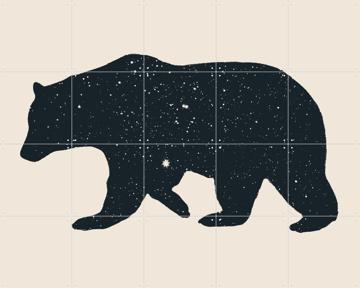 'Bär' by Florent Bodart