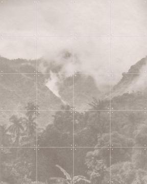 'Jungle Brouillard' par Florent Bodart