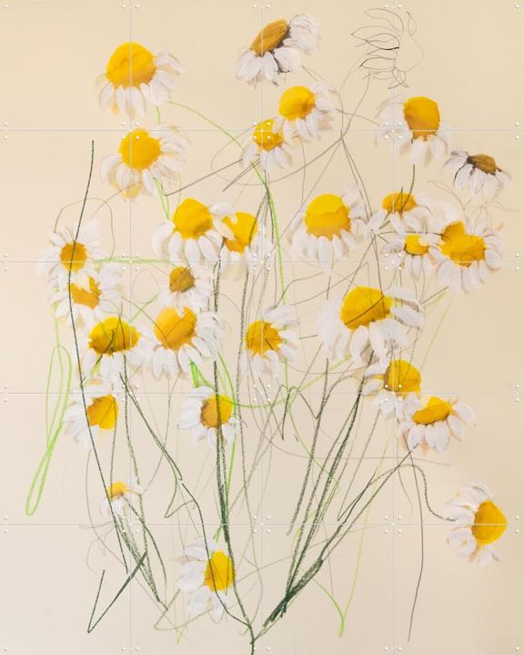 Chamomile No. 1