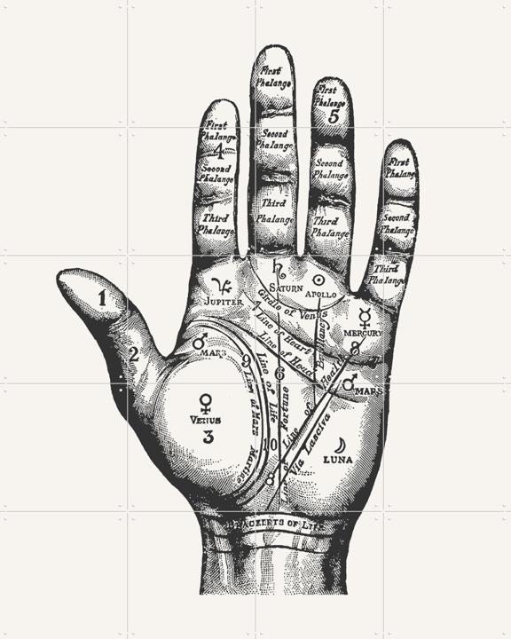 Palmistry
