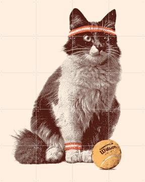 'Chat Tennis' by Florent Bodart