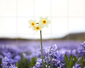 'Dutch Rebels Creatives' by Claire Droppert