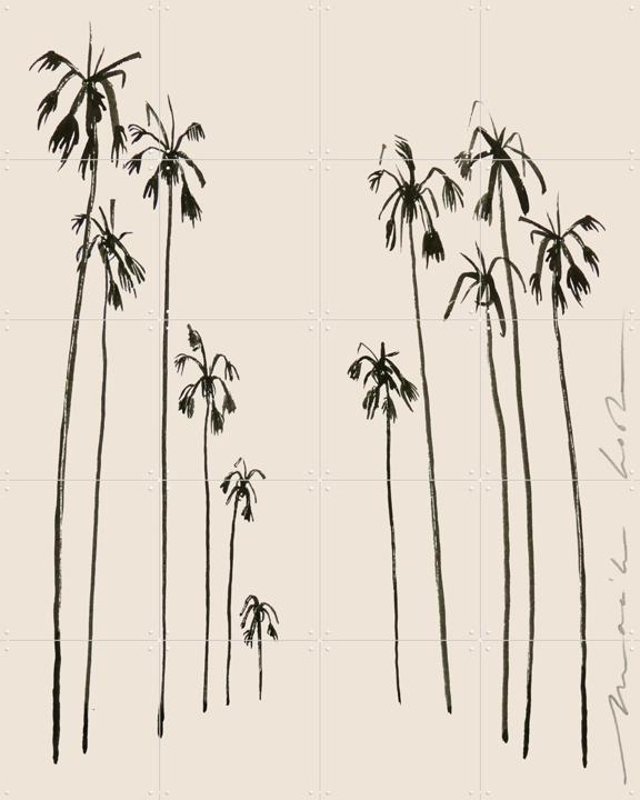 Palms