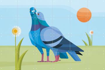 'Pigeons' von Elke Uijtewaal