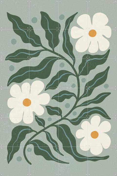 White Daisies and Green Leaves