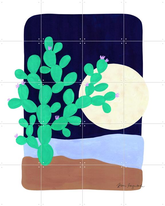 Cactus and Moonlight