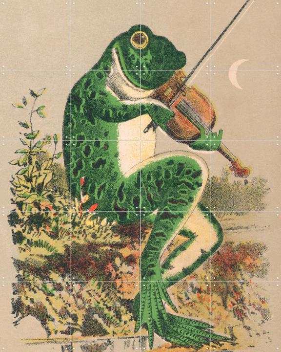 Frog playing violin