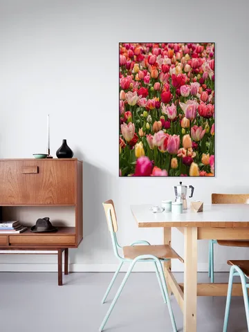 Keukenhof