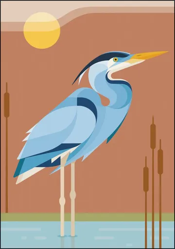 Blauwe Reiger