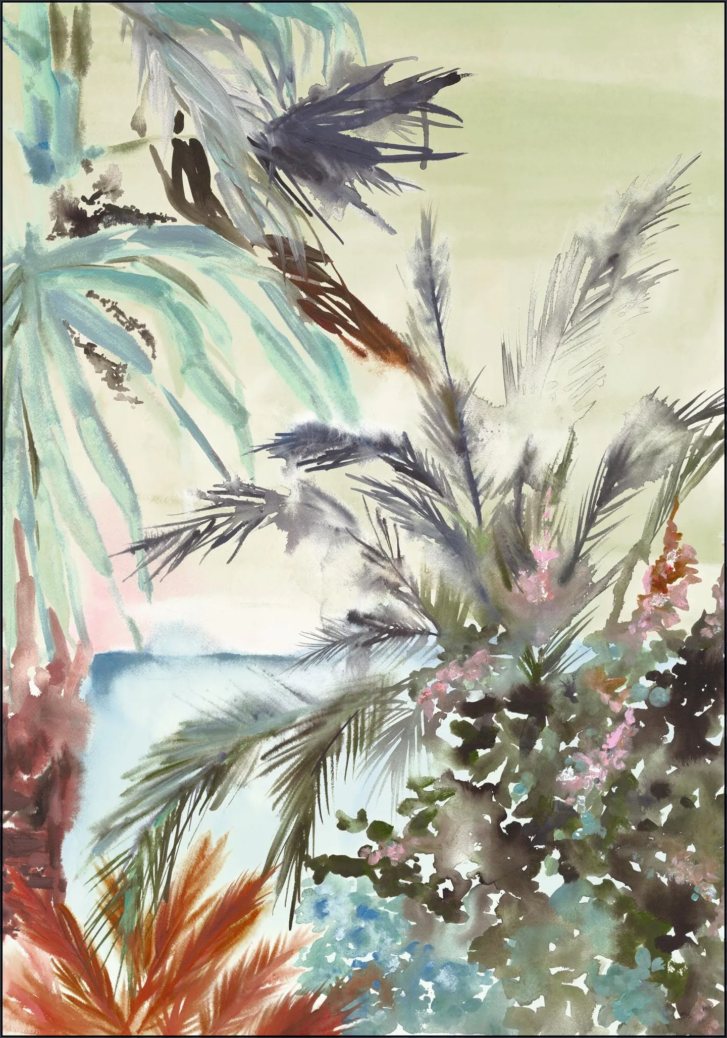 The Tropics