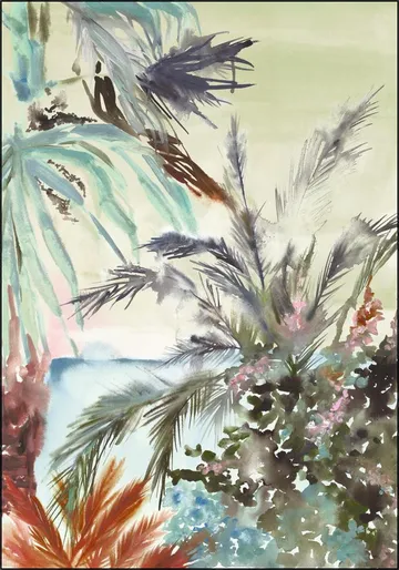 The Tropics