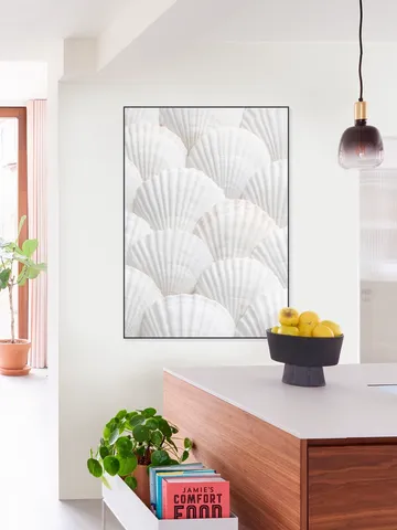 Seashell Symphony