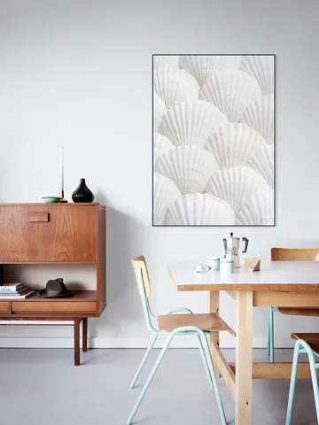 Seashell Symphony