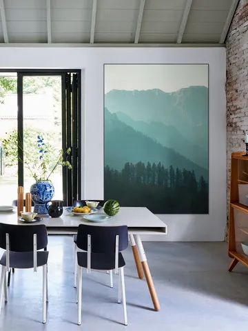 Soft Morning Light Over Alpine Pines