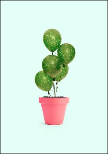 Cactus Balloon