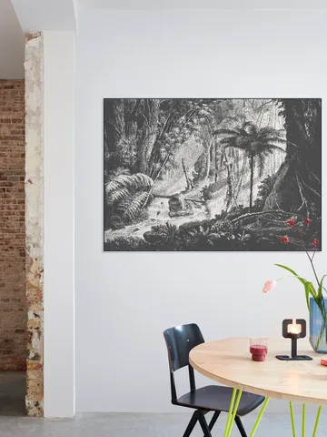 Brazilian Jungle