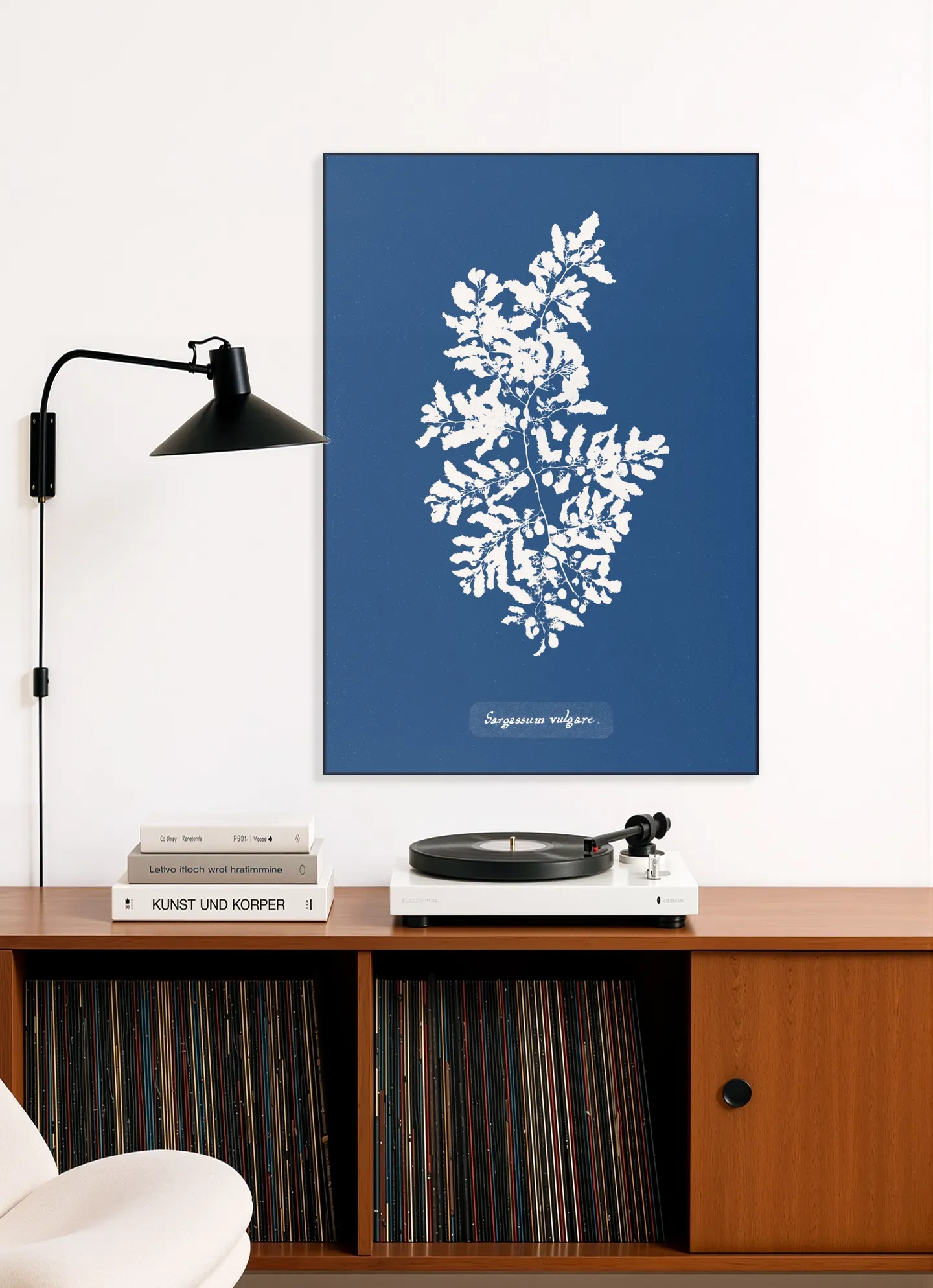 Sargassum Vulgare - Fern