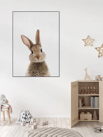Print 315 Rabbit