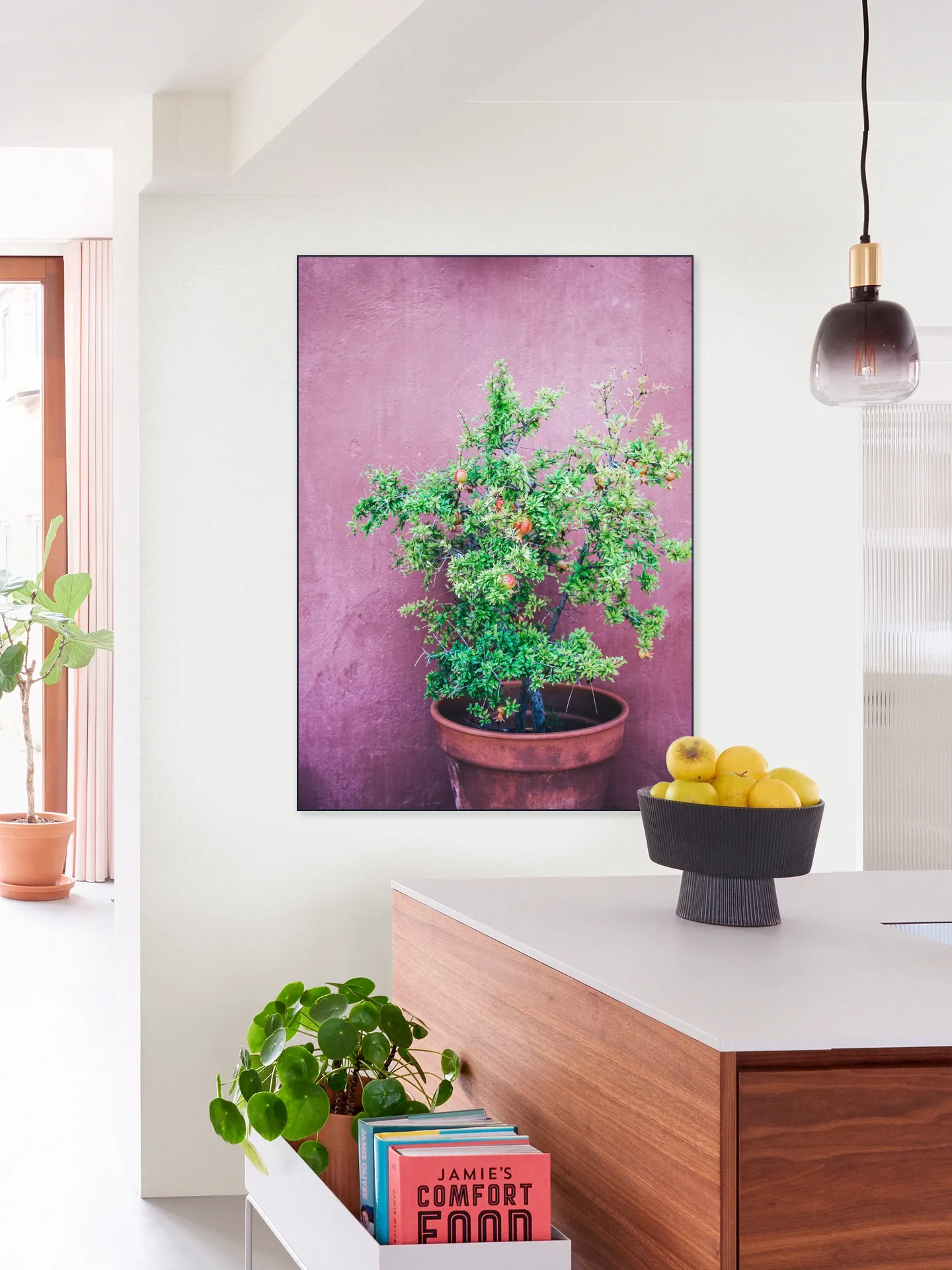Purple Pomegranate
