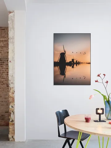 Gansen Boven Kinderdijk