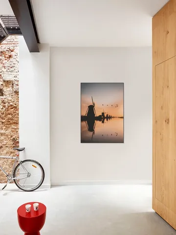 Gansen Boven Kinderdijk