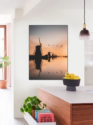 Gansen Boven Kinderdijk